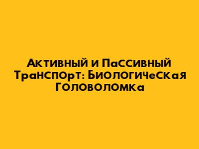 Активный и Пассивный Транспорт: Биологическая Головоломка