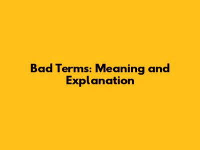 Bad Terms: Meaning and Explanation
