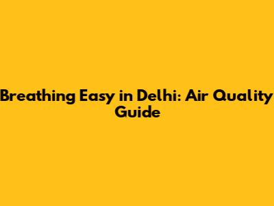 Breathing Easy in Delhi: Air Quality Guide
