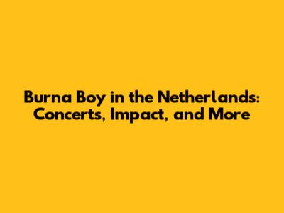 Burna Boy in the Netherlands: Concerts, Impact, and More
