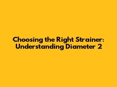 Choosing the Right Strainer: Understanding Diameter 2