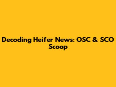 Decoding Heifer News: OSC & SCO Scoop