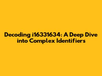 Decoding i16331634: A Deep Dive into Complex Identifiers