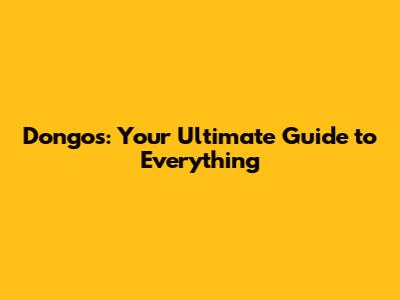 Dongo's: Your Ultimate Guide to Everything
