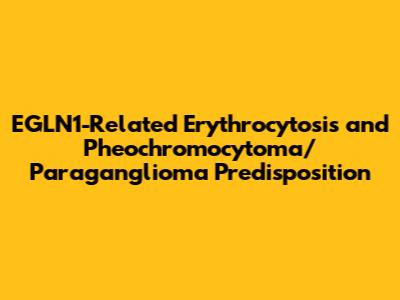 EGLN1-Related Erythrocytosis and Pheochromocytoma/Paraganglioma Predisposition