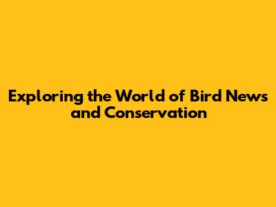 Exploring the World of Bird News and Conservation