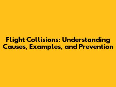 Flight Collisions: Understanding Causes, Examples, and Prevention