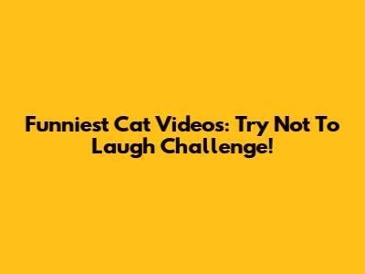 Funniest Cat Videos: Try Not To Laugh Challenge!