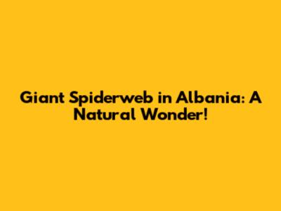 Giant Spiderweb in Albania: A Natural Wonder!