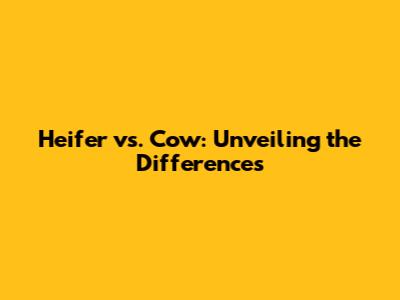 Heifer vs. Cow: Unveiling the Differences