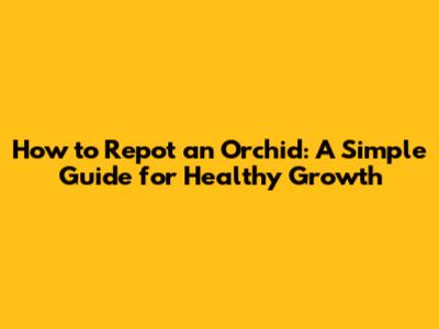 How to Repot an Orchid: A Simple Guide for Healthy Growth