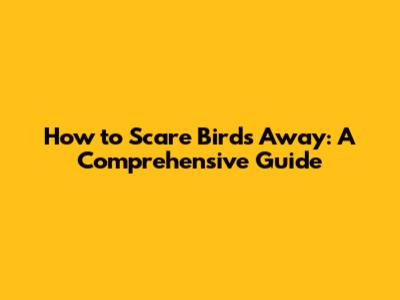 How to Scare Birds Away: A Comprehensive Guide