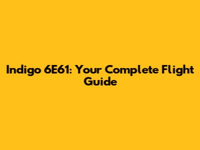 Indigo 6E61: Your Complete Flight Guide