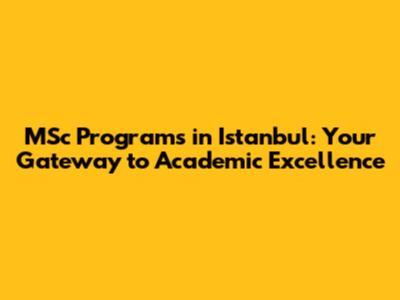 MSc Programs in Istanbul: Your Gateway to Academic Excellence