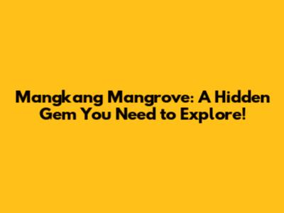 Mangkang Mangrove: A Hidden Gem You Need to Explore!