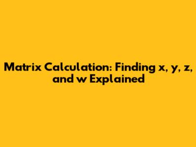 Matrix Calculation: Finding x, y, z, and w Explained