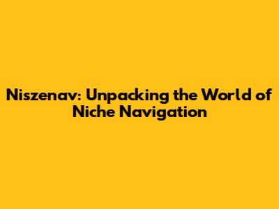Niszenav: Unpacking the World of Niche Navigation