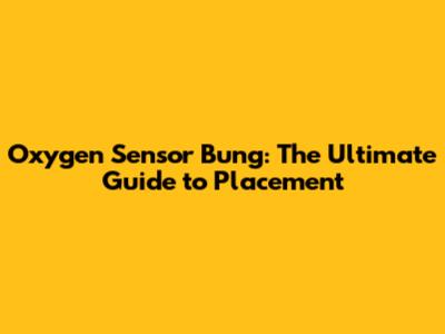 Oxygen Sensor Bung: The Ultimate Guide to Placement