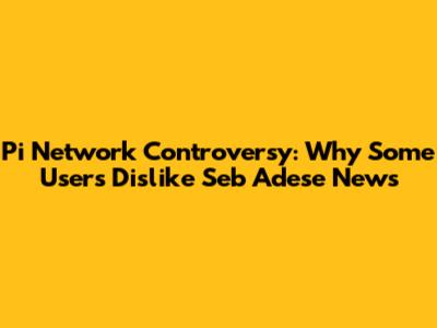 Pi Network Controversy: Why Some Users Dislike Seb Adese News