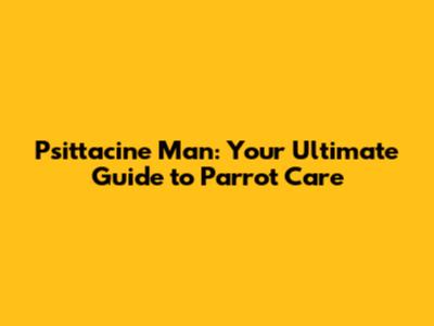 Psittacine Man: Your Ultimate Guide to Parrot Care