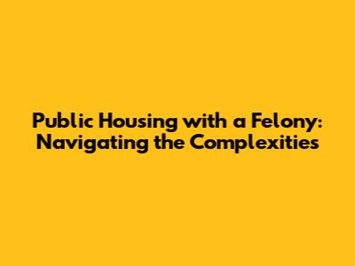 Public Housing with a Felony: Navigating the Complexities