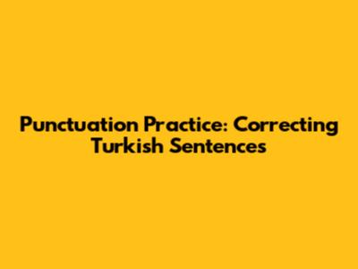 Punctuation Practice: Correcting Turkish Sentences