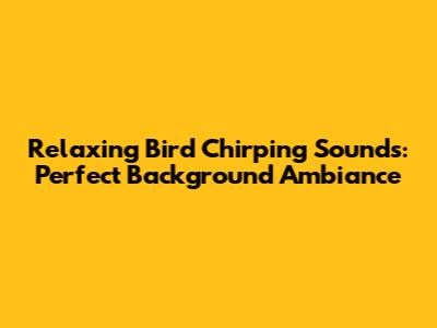 Relaxing Bird Chirping Sounds: Perfect Background Ambiance