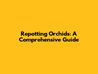 Repotting Orchids: A Comprehensive Guide