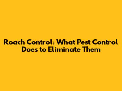 Roach Control: What Pest Control Does to Eliminate Them