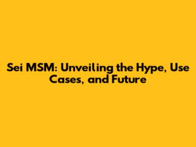 Sei MSM: Unveiling the Hype, Use Cases, and Future