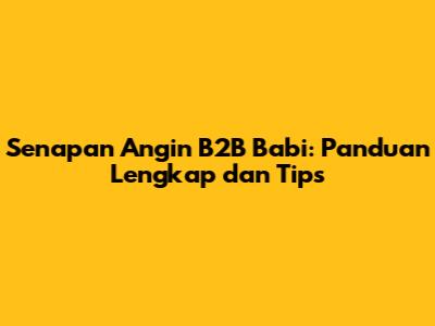 Senapan Angin B2B Babi: Panduan Lengkap dan Tips