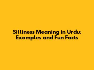 Silliness Meaning in Urdu: Examples and Fun Facts