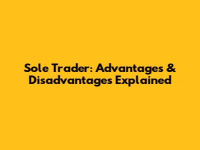 Sole Trader: Advantages & Disadvantages Explained
