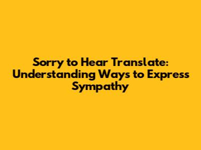 Sorry to Hear Translate: Understanding Ways to Express Sympathy