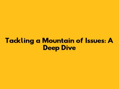Tackling a Mountain of Issues: A Deep Dive