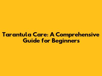 Tarantula Care: A Comprehensive Guide for Beginners