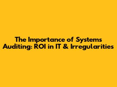 The Importance of Systems Auditing: ROI in IT & Irregularities