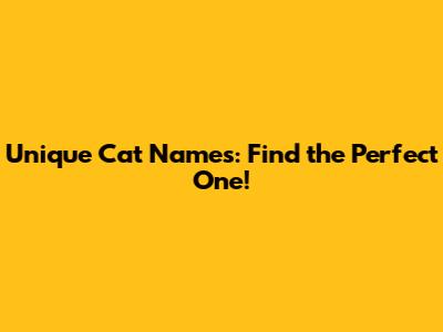 Unique Cat Names: Find the Perfect One!