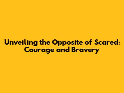 Unveiling the Opposite of Scared: Courage and Bravery