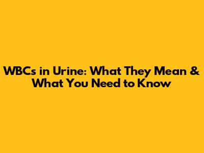 WBCs in Urine: What They Mean & What You Need to Know